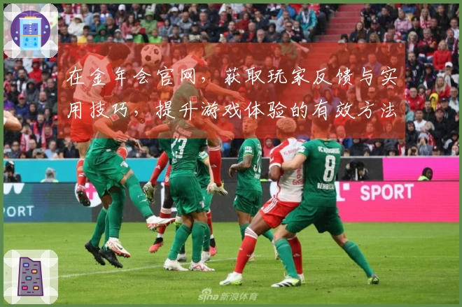 在金年会官网，获取玩家反馈与实用技巧，提升游戏体验的有效方法