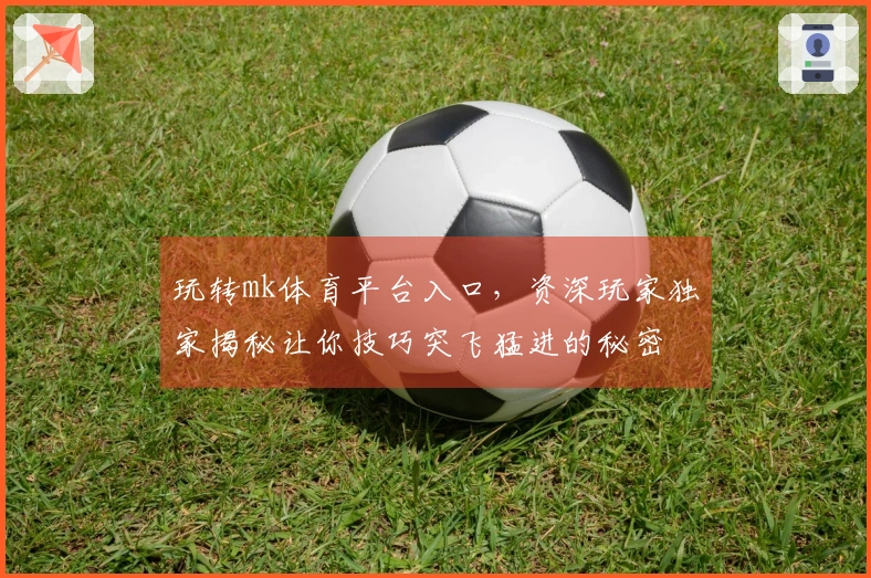 玩转mk体育平台入口，资深玩家独家揭秘让你技巧突飞猛进的秘密