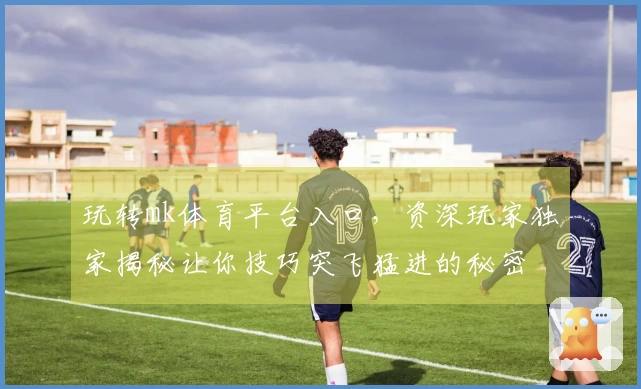 玩转mk体育平台入口，资深玩家独家揭秘让你技巧突飞猛进的秘密