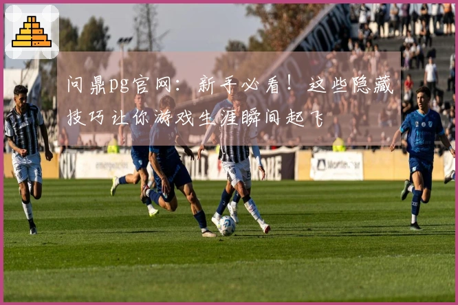 问鼎pg官网：新手必看！这些隐藏技巧让你游戏生涯瞬间起飞